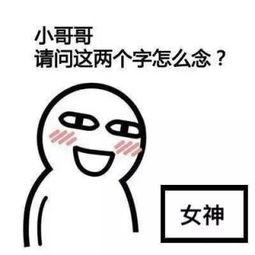 念慈表情包,趣味横生的网络文化现象