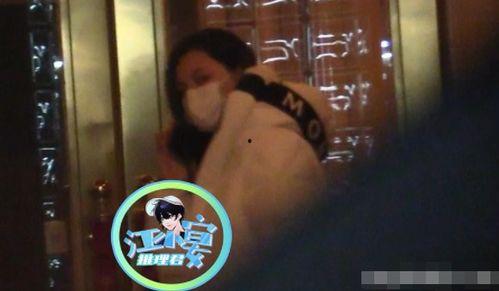 娱乐吃瓜 汪小菲是谁,汪小菲的吃瓜人生